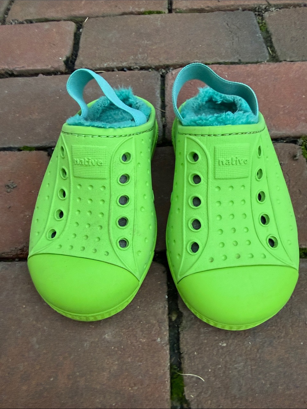 Native Kids Lime Green Cozy Jefferson Shoes with Teal Lining